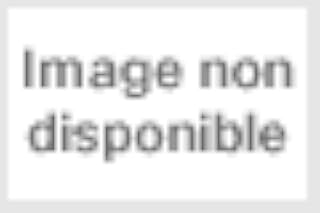Tout pour entreprendre: Statut juridique, rémunération, protection sociale... Un expert-comptable répond à vos questions
