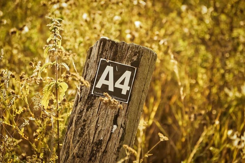 Relevé d’information direct assurance par mail : comment l’obtenir facilement en 2026