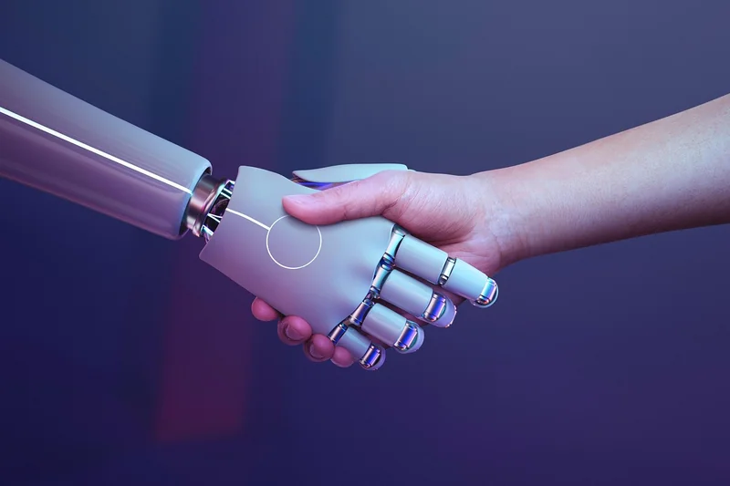 Les fonctionnalités essentielles de la plateforme