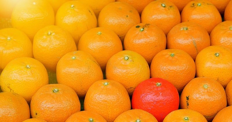 Générer des business leads : 7 stratégies qui convertissent vraiment