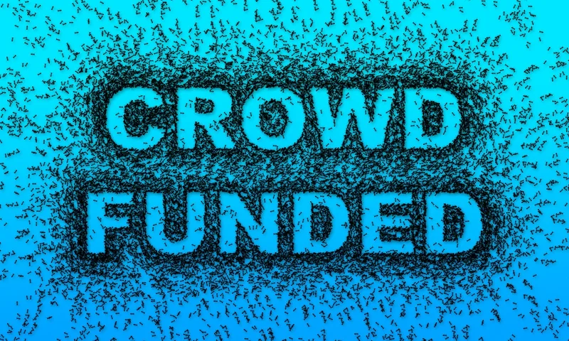 3. Crowdfunding et aides publiques : les oubliés
