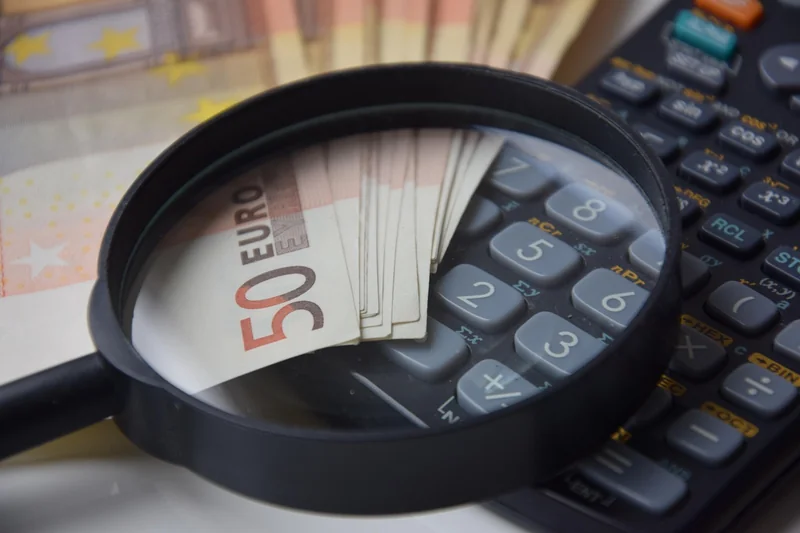 Coût et retour sur investissement de Silae ASP