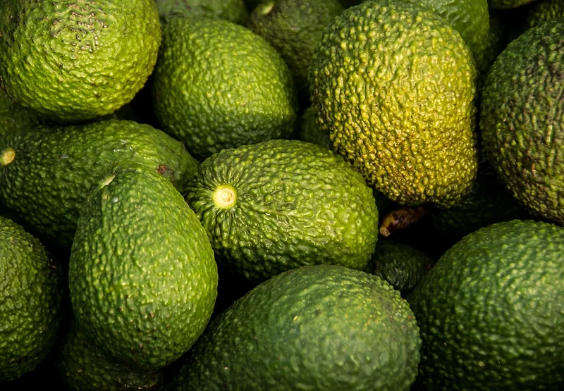 Comment bien choisir son avocat maritime